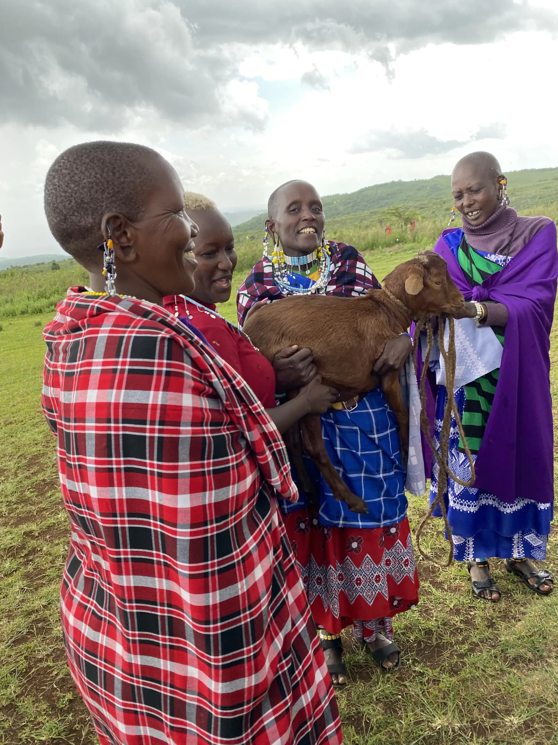 Three Maasai women in checked shukas holding a young goat between them in the highland grassland.
